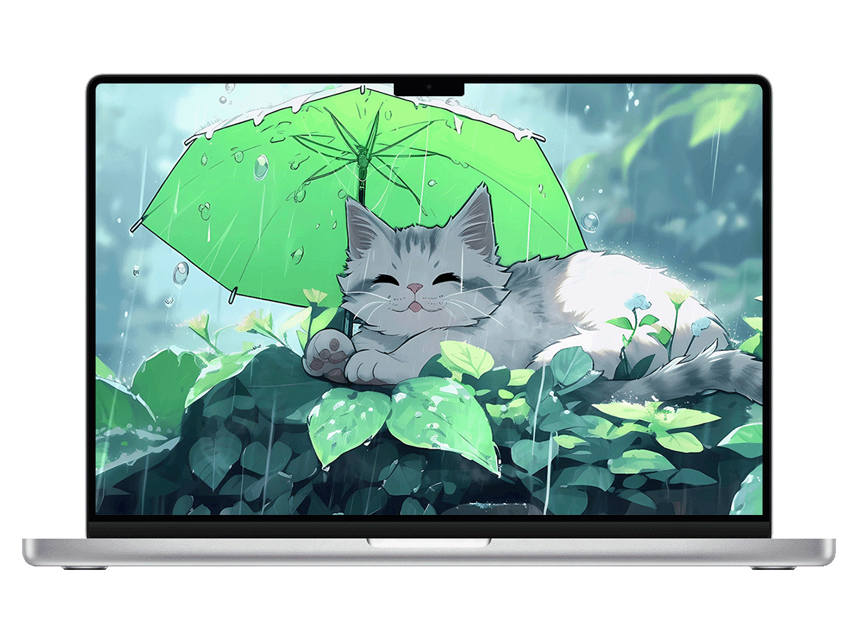插图