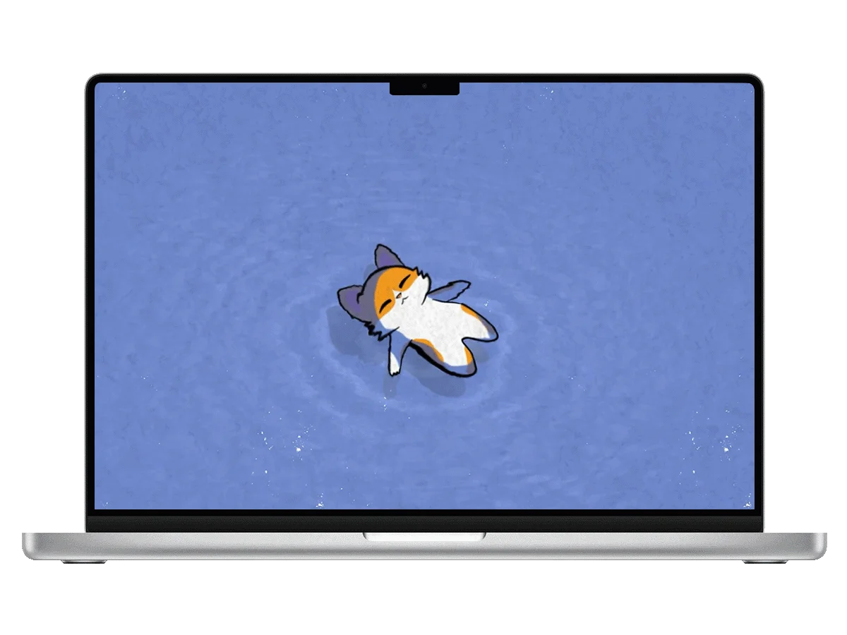 水上漂!小猫咪的悠闲午后 电脑动态壁纸